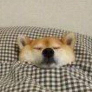 狗儿要听狗儿歌