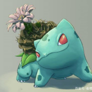 妙妙妙妙妙妙妙蛙种子