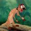 Timon