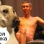 Панин