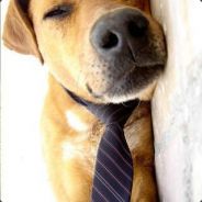 小不忍 则卖大萌~