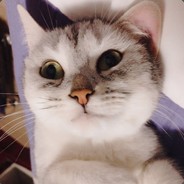 打野Gank至今未归