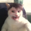 cwel