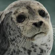 Seal