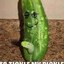 Pickle