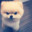 sAMUEL