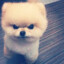 sAMUEL