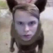 dyraley - steam id 76561199099112131