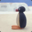 Pingu