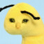 Zar