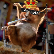 HamsterStyle