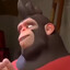 Neb