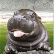 HappyHippo68