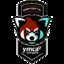 Ymca Esport