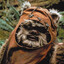 (ewok)
