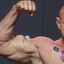 Stachu Triceps