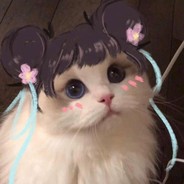 邦邦给你两下子