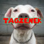 tagzeneK