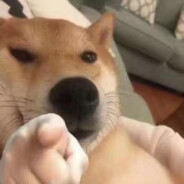 文艺复兴的达芬奇