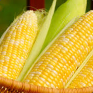 Corn