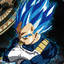 VEGETA ULTRA BLUE