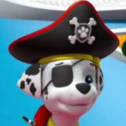 pirate dog