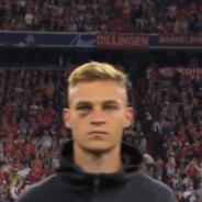 光復中華秋海棠葉