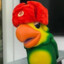 DOZERO MATA PORCO
