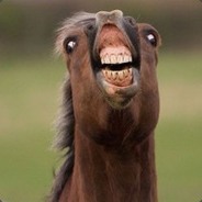 Majestic Horse