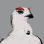 Birb Enjoyer
