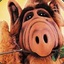 ALF