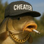 Karp