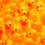 RUBBER DUCK FTW