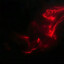 彻夜被秦
