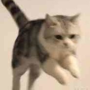 你一定没有家人吧