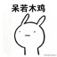 货拉拉拉不拉拉布拉多