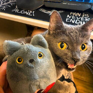 | Käinen |  not_yours