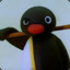 noot noot