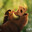 pooommba4