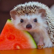 QT3.14