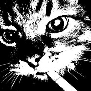 naassii - steam id 76561199824207490