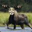 Anony-moose