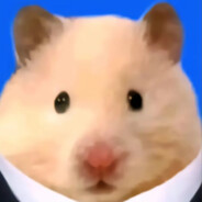 鼠鼠也想有个家