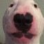 eltypat