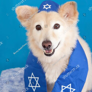 JewDog