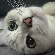 别查了别查了避的税都查出来了