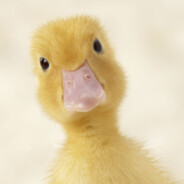 and he waddled away