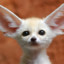 FenneC