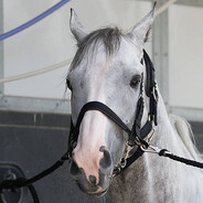 JIAA - steam id 76561198170173637