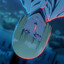 Winx